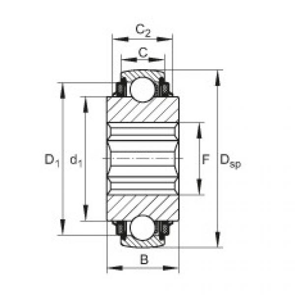 FAG Self-aligning deep groove ball bearings - SK104-207-KTT-B-L402/70 #1 image