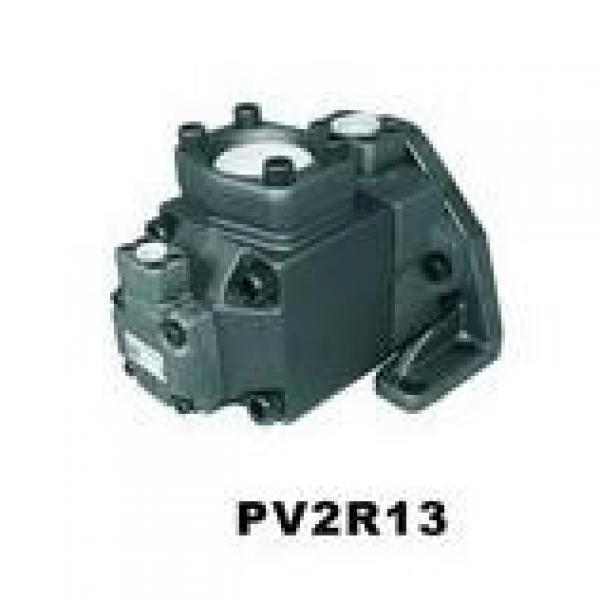  USA VICKERS Pump PVH141R13AF30A230000001001AB010A #4 image