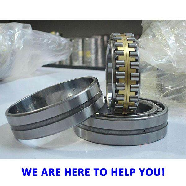 SKF BS2-2207-CS Double row cylindrical roller bearings #1 image