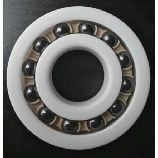 Self-Aligning Full Ceramic Ball Bearing 1204_20x47x14mm, ZrO2, Si3N4, PEEK #2 image