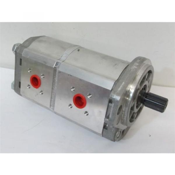 Sennebogen 091308519 Tandem Hydraulic Pump #1 image