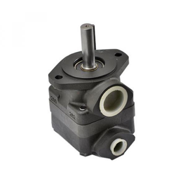 Hydraulic Vane Pump Replacement Vickers V20-B-13-B-1-C-10-R, 2.59  Cubic Inch pe #1 image