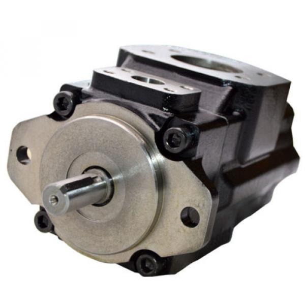 Double Hydraulic Vane Pump Replacement Denison T6CC-017-014-5R02-C100 #1 image