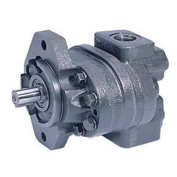 HYDRAULIC GEAR PUMP Cast Iron - 1 Stage - 40.4 GPM CCR - 4,000 PSI - Commercial #1 image
