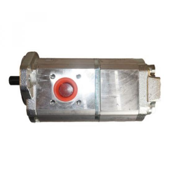 New Schwing Hyraulic Pump J.S. Barnes Tandem 10172229 #2 image