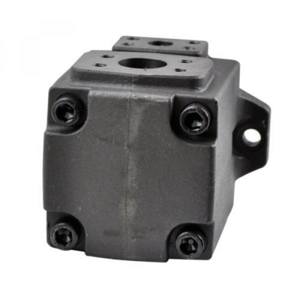 Hydraulic Vane Pump Replacement Yuken PV2R1-12-RAA-F1 0.78 Cubic Inch Revolution #1 image