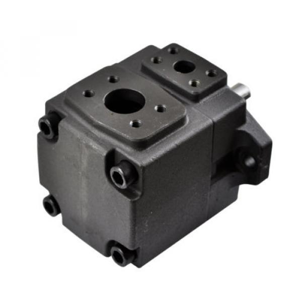 Hydraulic Vane Pump Replacement Yuken PV2R1-12-RAA-F1 0.78 Cubic Inch Revolution #2 image