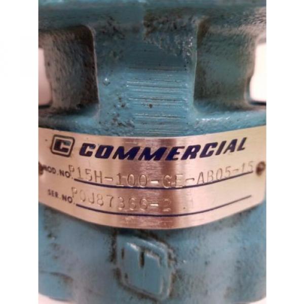 Commercial Shearing Pump P15H-100-GE-AB05-15 #2 image