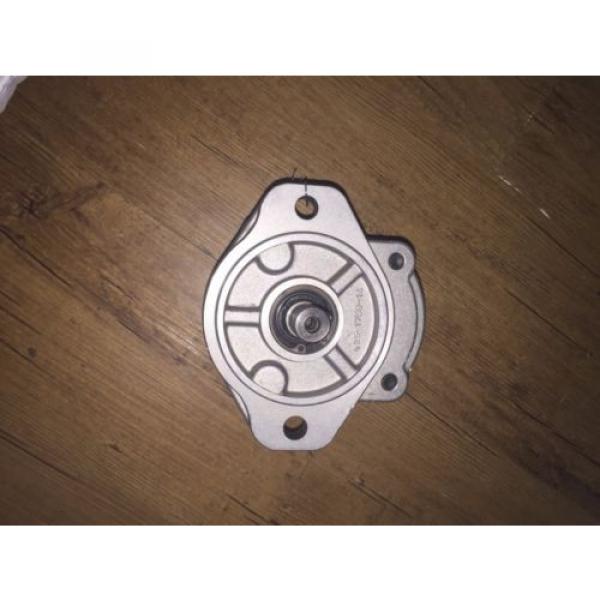Bucher Hydraulic Gear Pump AP200/6,5 D 880 #1 image