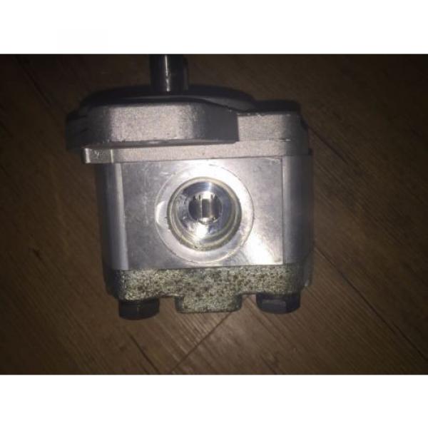 Bucher Hydraulic Gear Pump AP200/6,5 D 880 #3 image