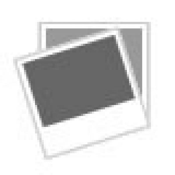 NEW CASAPPA HYDRAULIC PUMP # PLP30.43D0-05S5-L0G/0F-N-DAG #4 image