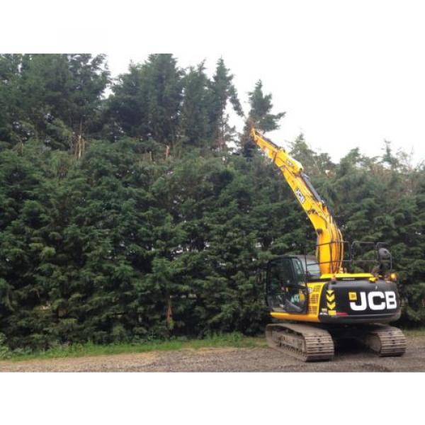 New Hardlife 100TSH Excavator Tree Shear - 10-22t Digger Inc. VAT #4 image