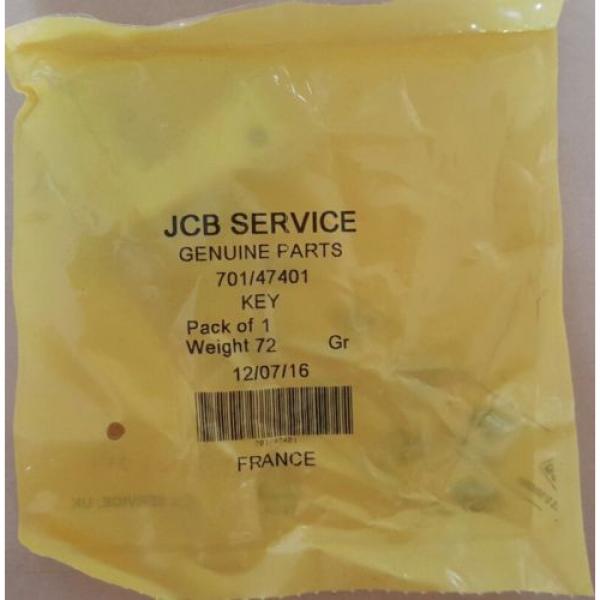 Jcb isolator key #4 image
