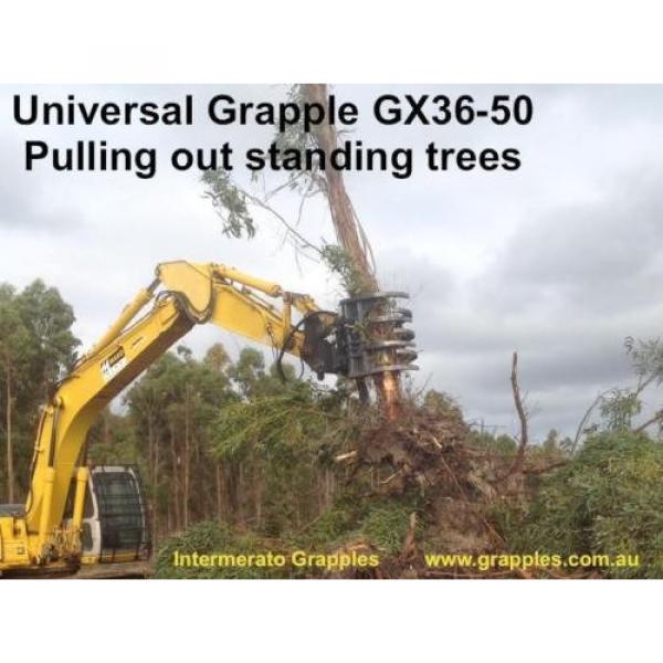 Excavator Grab TG55SR5 - five finger, suits 20 tonne, massive opening width #5 image